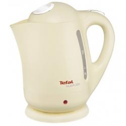 Tefal BF9252 Silver Ion