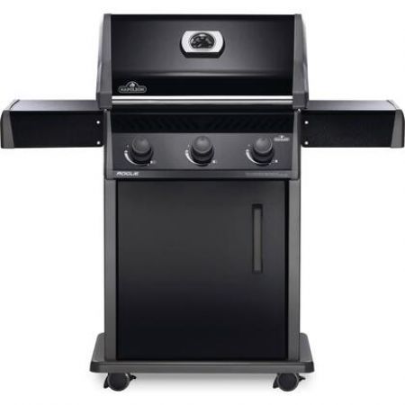 Napoleon R425PK1