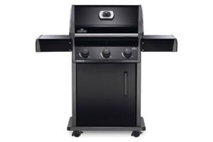 Napoleon R425PK1