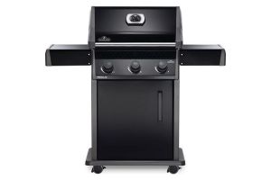Napoleon R425PK1NECO