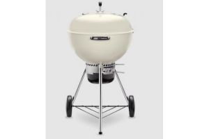 Weber 14505601