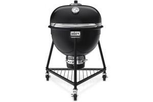 Weber 18201001