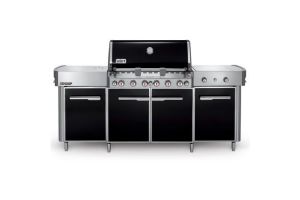Weber 291101KIT