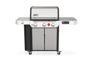 Weber 35600001
