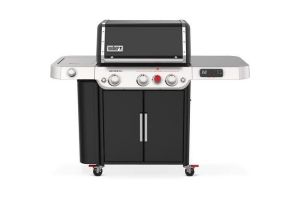 Weber 35810001