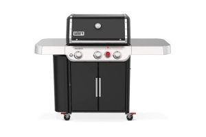 Weber 35913501
