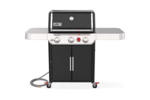 Weber 37310001