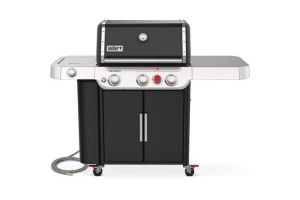 Weber 37410001