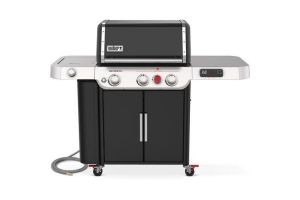 Weber 37610001