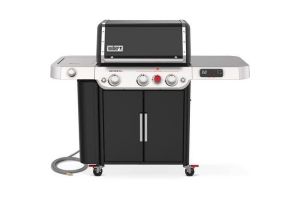 Weber 37810001