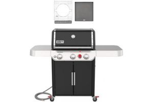 Weber 37913401