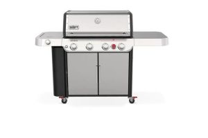 Weber 38400001