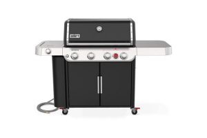 Weber 38410001