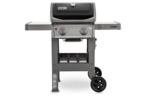 Weber 44010001