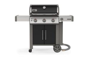 Weber 66015001