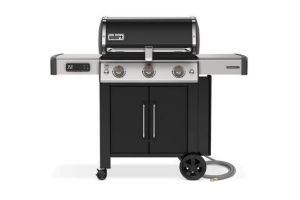 Weber 66015601