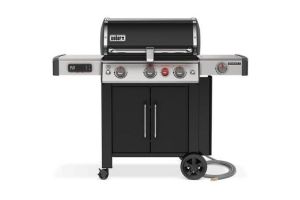 Weber 66016601