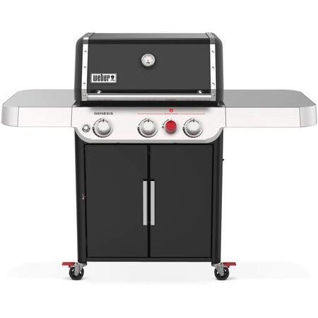 Weber 35313301