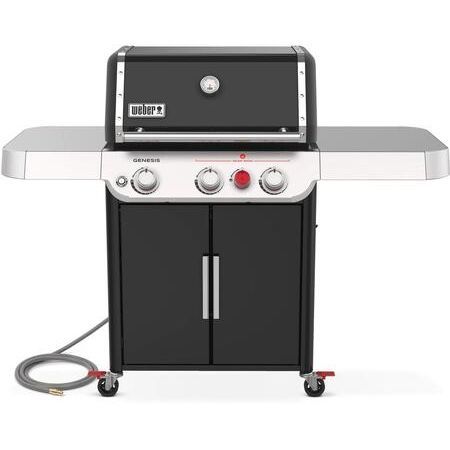 Weber 37313301