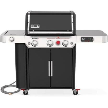 Weber 37810001