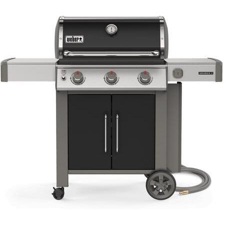 Weber 66015001