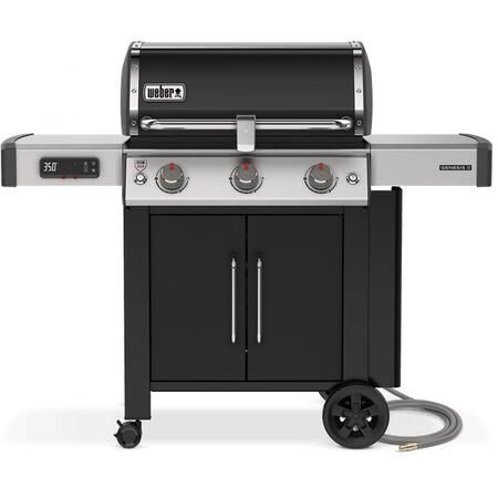 Weber 66015601