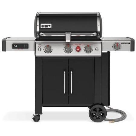Weber 66016601