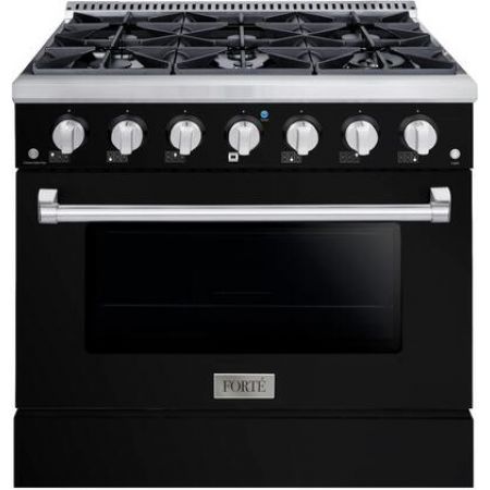 Forte FGR366BBB12
