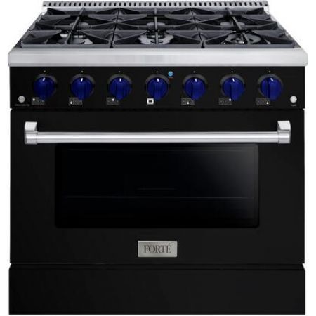 Forte FGR366BBB32