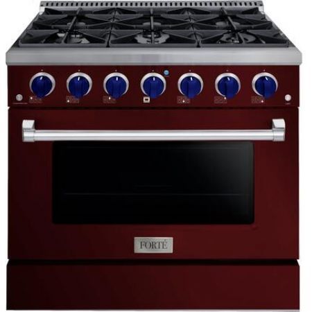 Forte FGR366BBG31