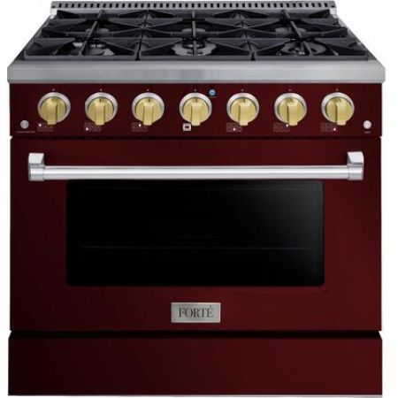 Forte FGR366BBG41