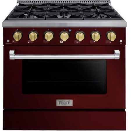 Forte FGR366BBG42