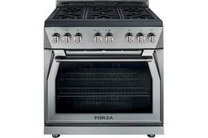 Forza FR366GN