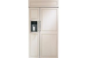 Monogram ZISB420DNII