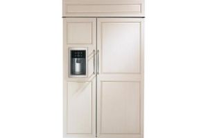 Monogram ZISB480DNII