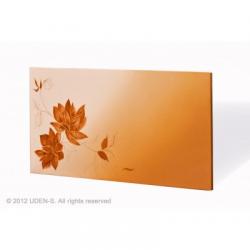 UDEN-S UDEN-700 Image  